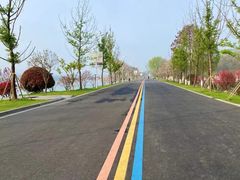 -羊山湖公园