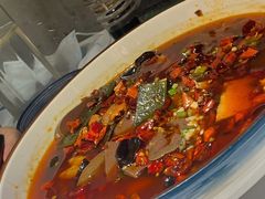 -雲蜀龙阁·金牌水煮鱼(方庄店)