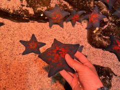 -沈阳海洋探索中心