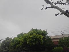 -安肯心理咨询(长宁旗舰店)