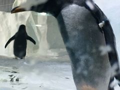 -南昌海洋公园
