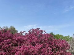 -海棠花溪(元大都城垣遗址公园)