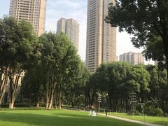 -重庆市江北嘴中央商务区中央公园