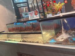 -遇上西雅图多融合海鲜自助餐厅(中房金谊广场店)