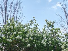 -大龙山(地铁站)