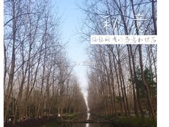 -合肥滨湖国家森林公园