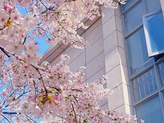 -南京明基医院