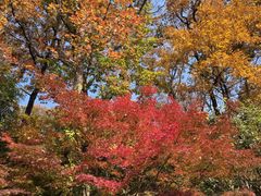 -南京东郊国宾馆