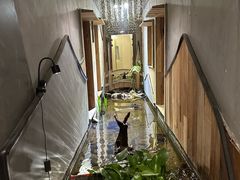 -邈墨茶馆(凤起路店)