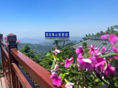 -泰山风景名胜区