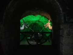-青岛葡萄酒博物馆
