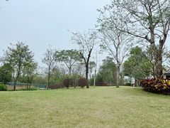 -文华公园(禅城区)
