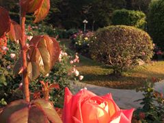 -人民公园(罗湖区)