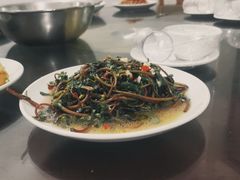 -军山湖云水间生态农业旅游景区