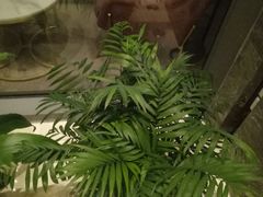 -宁波威斯汀酒店