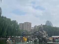 -团结湖公园