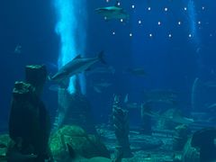 -亚特兰蒂斯•OSSIANO奥西亚诺海底餐厅