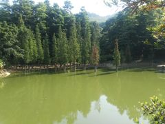 -广州市帽峰山景区