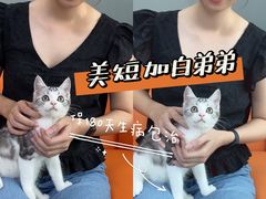 -lincat·猫舍(广州店)