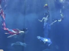 -华夏文旅海洋公园