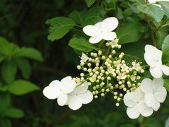 -苏州上方山国家森林公园