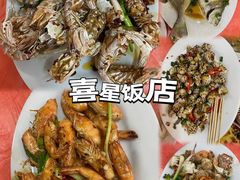 -广东惠东海龟国家级自然保护区