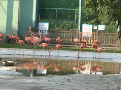 -秦皇岛野生动物园