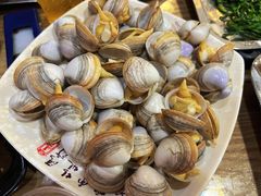 白蛤-爱蚝屋