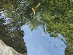 -本溪汤沟绿石谷森林公园