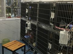 -伟伟宠物医院·CT影像中心·瑞派犬猫综合性门诊(汉口总院)
