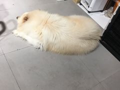 -肆兮眼镜·蔡司·徕卡战略合作店(大坪店)