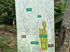 -中国科学院西双版纳热带植物园