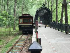 -合肥滨湖国家森林公园