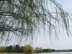 -澹台湖公园