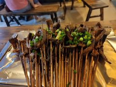 -晓靖轩烧烤(沙河风情店)