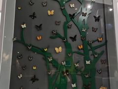 -房山世界地质公园博物馆