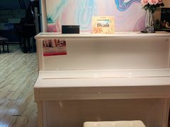 -雅马哈钢琴专卖店盛世雅歌琴行·电钢琴城·钢琴培训(翠微路店)