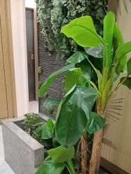-芳朵美容养生SPA