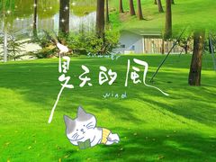 -香蜜公园