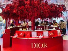 -Dior迪奥(上海世茂广场店)