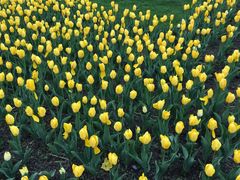 -长春公园(普阳街道)