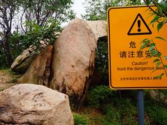 -紫云台香草园