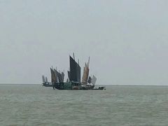 -长兴太湖图影湿地文化园