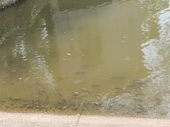 -滴水岩森林公园