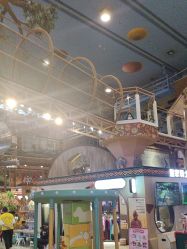 -卡通尼·Safari非洲探索乐园·生日会(金桥国际商业广场店)