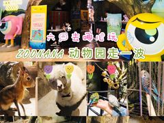 -zoonana室内动物园(东方福来德店)