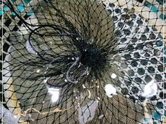 -焯明农庄(小榄店)