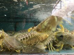 -新农都水产市场