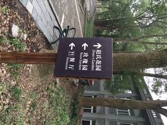 iphone_upload_pic-东湖落雁景区