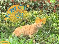 -宁波儿童公园(鄞州区)